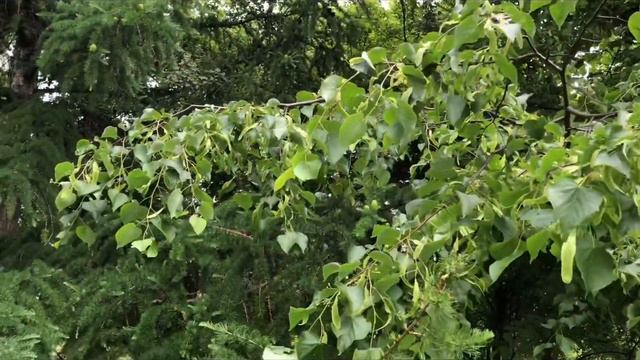 Понедельник тринадцатое Москва смотреть онлайн