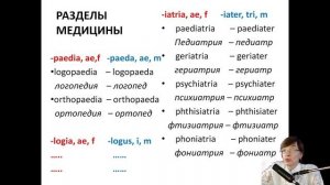 Лекция 4. Часть 3. Терминоэлементы.