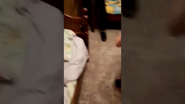 Полиция задержала подростка по подозрению в серии ложных минирований