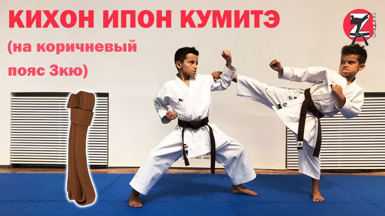 Кихон Ипон Кумитэ на коричневый пояс 3 кю смотреть онлайн