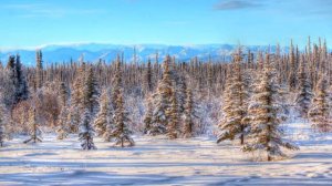 Кайеркан Сергей - Вот идёт за вагоном вагон