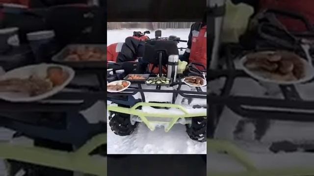 ?Тура зимой, пикник и квадроциклы Тюмень ???
