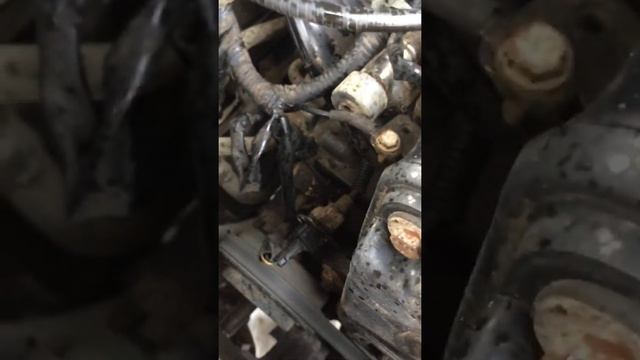 Хундай Купе Тибурон рычит пробита гофра