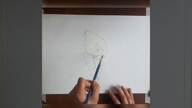 Рисуем цветок. Калла гуашью смотреть онлайн