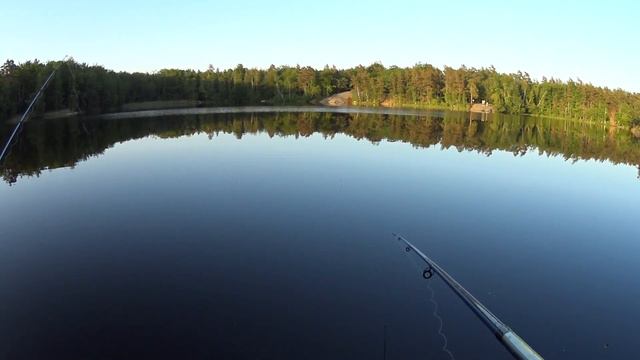 Рыбалка на поплавок.Тянем леща. смотреть онлайн