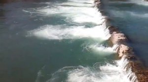 Рыбалка на реке Сочи: Голавль