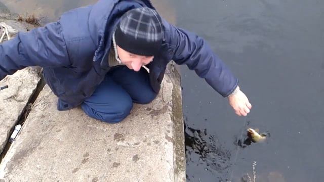 Щука на спиннинг в начале декабря. Рыбалка зимой на спиннинг р.Мокрые Ялы. смотреть онлайн