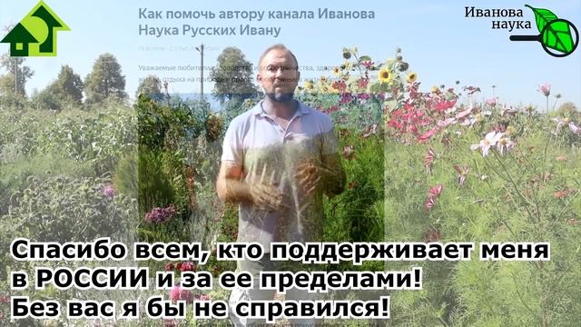 Азбука сидератов. Ч.3. Альтернативный сидерат КОСМЕЯ. ВМЕСТО ГОРЧИЦЫ - ОГРОМНАЯ польза КОСМЕИ.