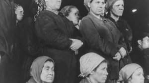 Народ одобряет, 1962.