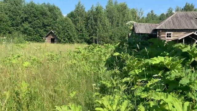 Поездка на мотоцикле в деревню, где НИКТО и НИКОГДА не жил. Suzuki Volty. смотреть онлайн