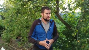 Ящик для безрамочного отводка пчел. Бессотовые пчелопакеты