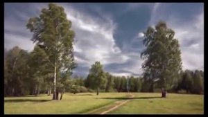 Белая берёза  М.Гулько