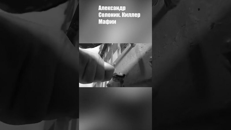 Александр Солоник. Киллер Мафии.  Часть 3