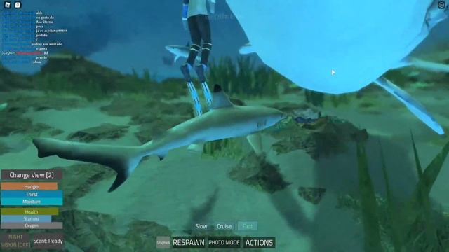 PLAYING ROBLOX ANIMAL GAMES LIVE ?| AQtheGamer смотреть онлайн