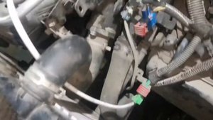 Peugeot 206 замена сальника гидротрансформатора.