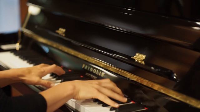 Schimmel Fridolin Pro Studio Upright Piano Model F130 52" For Sale at Classic Pianos Portland смотреть онлайн