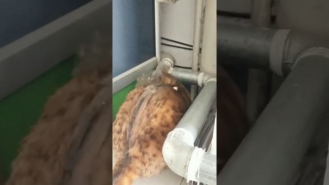 Клининг заказывали