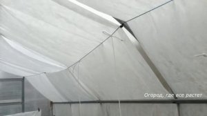 286. Теплица. Как расположить грядки.