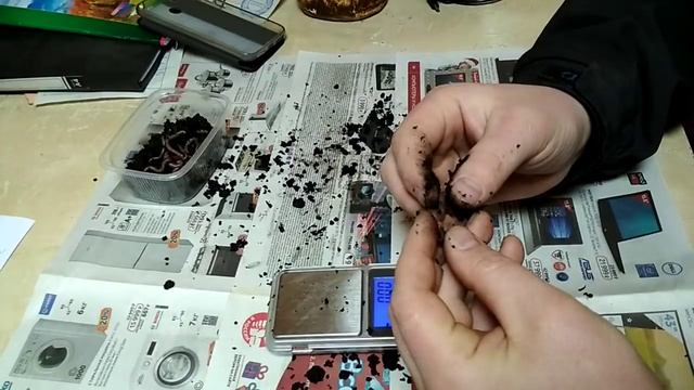 О надежных поставщиках дендробены, качестве червя и соблюдении технологии.