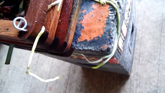 CATTLEYA · If Catts were able to talk ~~~ смотреть онлайн