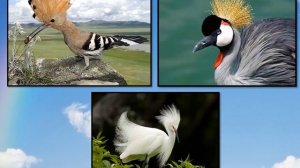 Три Брата Мастера всегда трудятся вместе