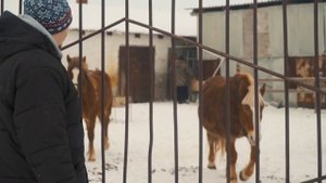 Михаило-Архангельский мужской монастырь глазами трудника.