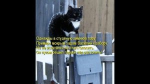 9. Что не так в стихе Некрасова "...Однажды, в студеную зимнюю пору..."    :-) Сказки про ВСЯКОЕ.