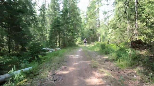 Лемболовский веломарафон 2023 (30км)