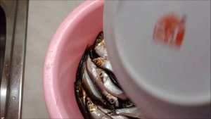 Солим кильку