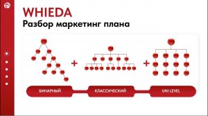 WHIEDA детальный маркетинг план | Ильнур Айсулов