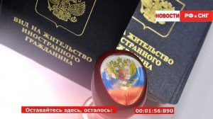 По каким профессиям можно получить РВП или ВНЖ? Как оформляется ВНЖ для специалистов?