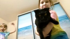 Bonetroulse песня папируса