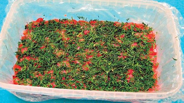 Красная рыба под шубой салат