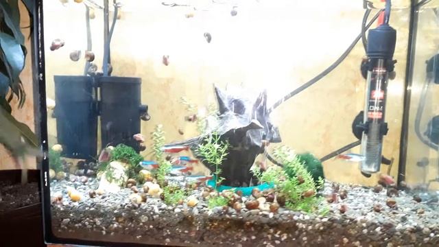 Настенный аквариум. Полка под аквариум. смотреть онлайн