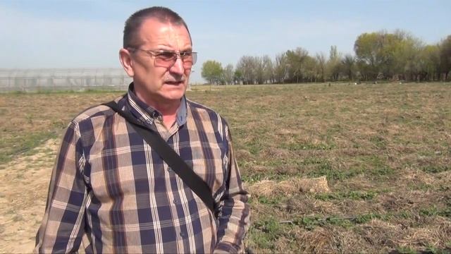 Интенсивная технология выращивания земляники клубники в открытом и закрытом грунтах (06-04-2018)