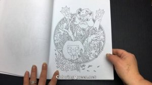 Alice in Wonderland Coloring Book  Review - Olga Goloveshkina