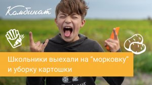 Тюменские школьники выехали «на морковку» и уборку картошки.