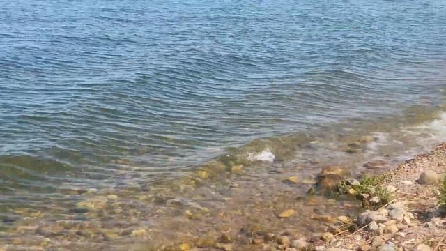 МЕСТА ДЛЯ ОТДЫХА ЛЕТОМ В МИНСКЕ | Кафе Лето |Минское море|
