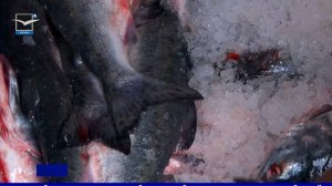 Поддержка жителей и Росрыболовства