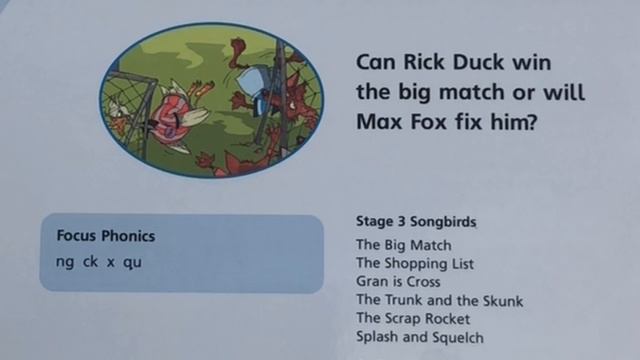 HOW TO TEACH ANY CHILD TO READ FAST! 📚LOOK INSIDE SONGBIRDS PHONICS 👀 READING SCHEME