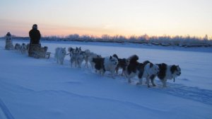 Полярникам.