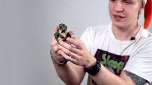 Пантеровый хамелеон и его содержание. Поздравление с Новым годом от магазина Планета Экзотики