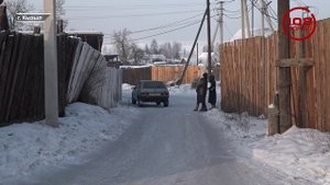 СОБАКА БЫВАЕТ КУСАЧЕЙ