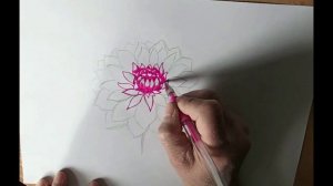 Учимся рисовать георгины