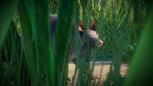 Grasslands Animal Pack Announcement! | Planet Zoo News