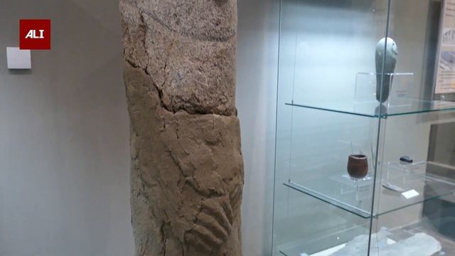 Художественное оформление древнего экспоната - ALI смотреть онлайн