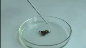 Окисление этилового спирта марганцовкой