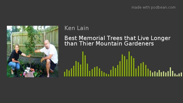 Best Memorial Trees that Live Longer than Thier Mountain Gardeners смотреть онлайн