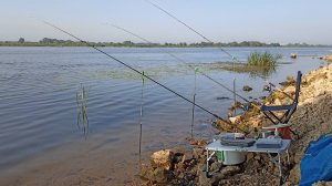 Рыбалка на реке Самарка! #рыбалка #fishing #природа #рыбалкавидео