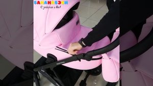 Коляска Riko Basic Montana Ecco 2 в 1